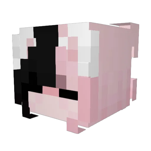 RToast0614 Minecraft avatar head, 3D render