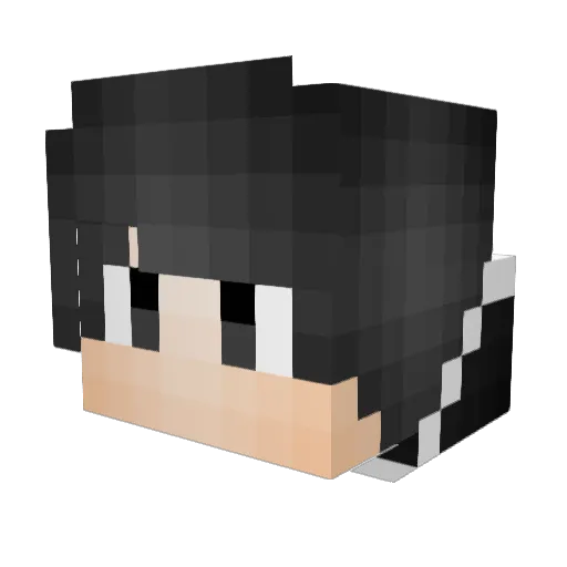 RTrapp123 Minecraft avatar head, 3D render