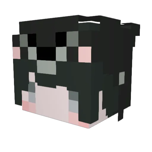 RU19_ Minecraft avatar head, 3D render