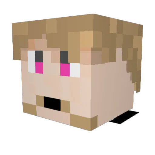 RUBBISH_ANK Minecraft avatar head, 3D render