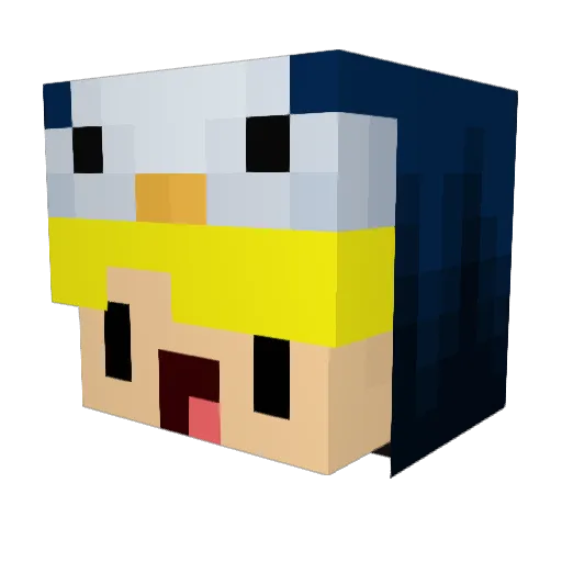 RUBIXX14 Minecraft avatar head, 3D render