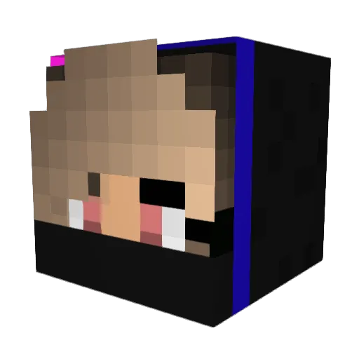 RUGUME Minecraft avatar head, 3D render