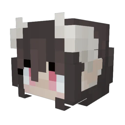 RUM_NUT Minecraft avatar head, 3D render