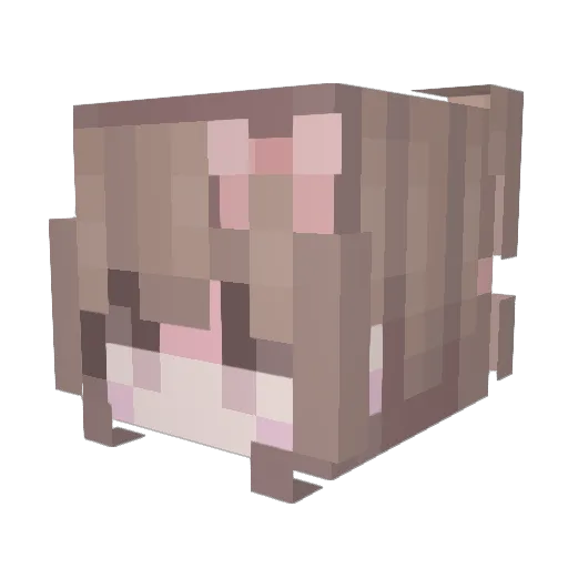 RURI11 Minecraft avatar head, 3D render