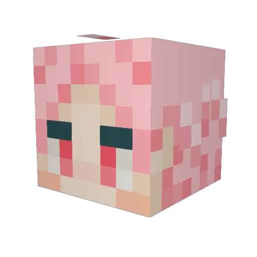RURU2300 Minecraft avatar head, 3D render