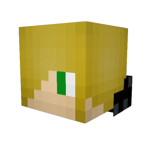 RUSHC5625 Minecraft avatar head, 3D render