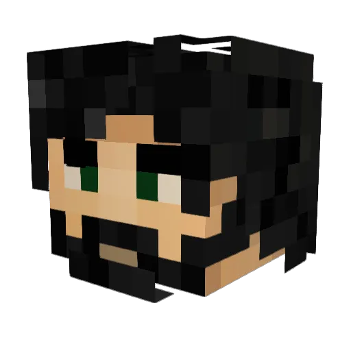 RUSI_13 Minecraft avatar head, 3D render