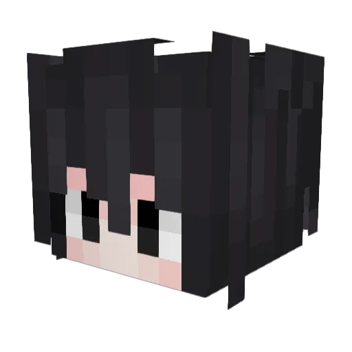 RVI14 Minecraft avatar head, 3D render