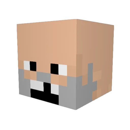 RVL_MATT Minecraft avatar head, 3D render
