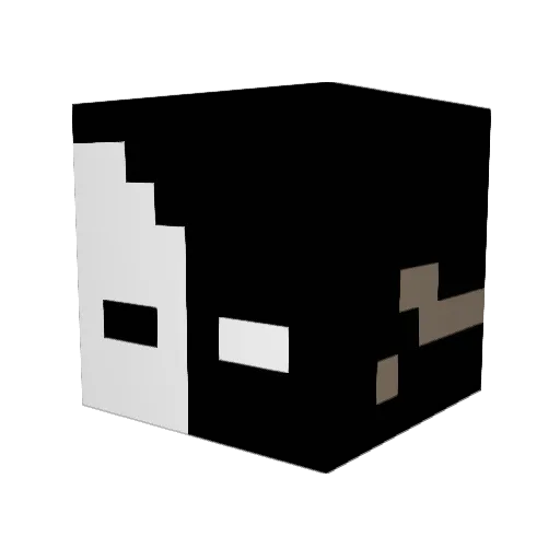 RVN0N3 Minecraft avatar head, 3D render