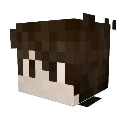 RWB16 Minecraft avatar head, 3D render