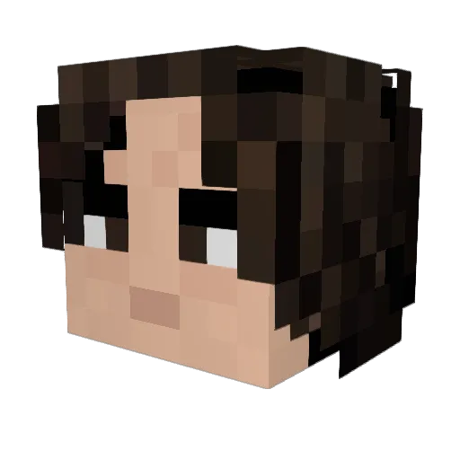 RWBlackbird Minecraft avatar head, 3D render