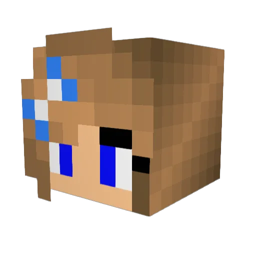 RWRSheldon Minecraft avatar head, 3D render