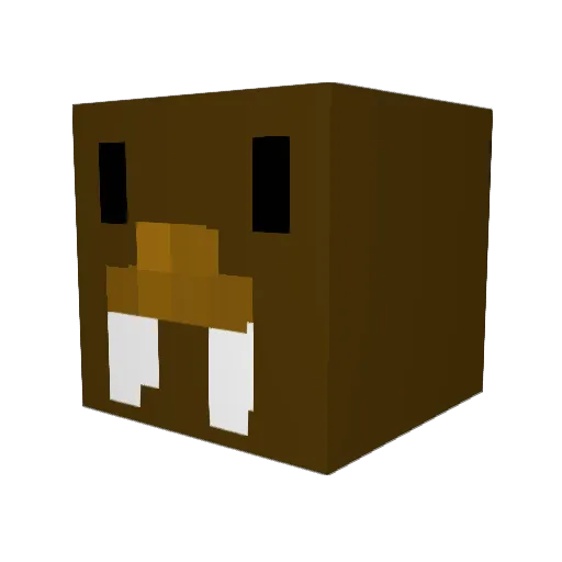 RWalrus1 Minecraft avatar head, 3D render