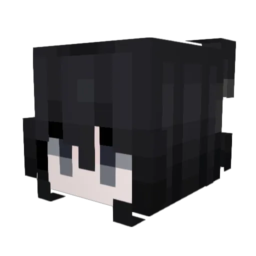 RX1 Minecraft avatar head, 3D render