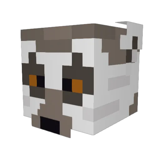 RXSlayer Minecraft avatar head, 3D render