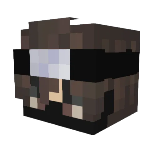 RX_waze Minecraft avatar head, 3D render