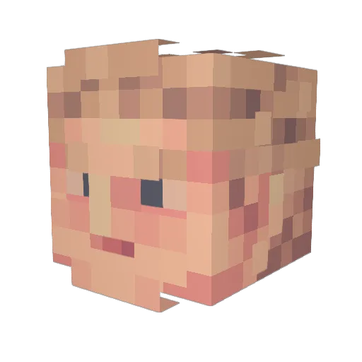 RY4NR0SS Minecraft avatar head, 3D render