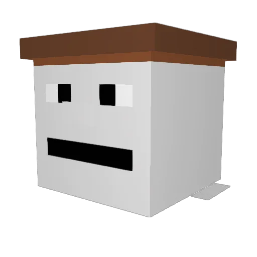 RYETHECRAFTYGUY2 Minecraft avatar head, 3D render