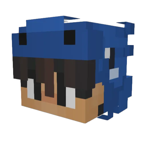 RYHERE1 Minecraft avatar head, 3D render