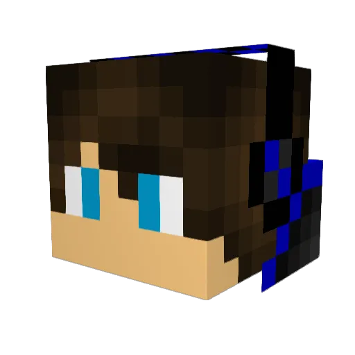 RYHOCKEY Minecraft avatar head, 3D render
