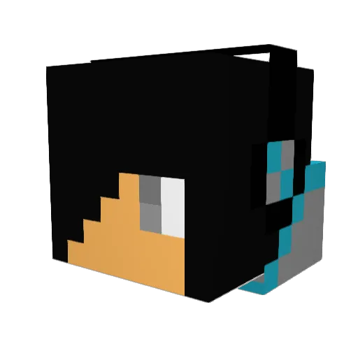RYNNNNNN Minecraft avatar head, 3D render