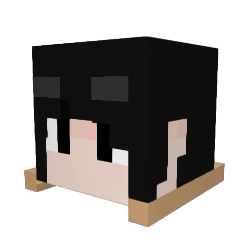 RYO538 Minecraft avatar head, 3D render
