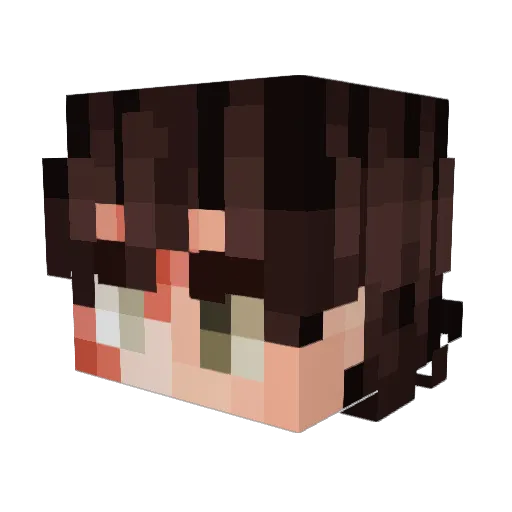 RYU711 Minecraft avatar head, 3D render