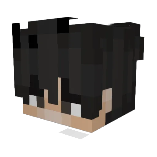 RYUU72 Minecraft avatar head, 3D render