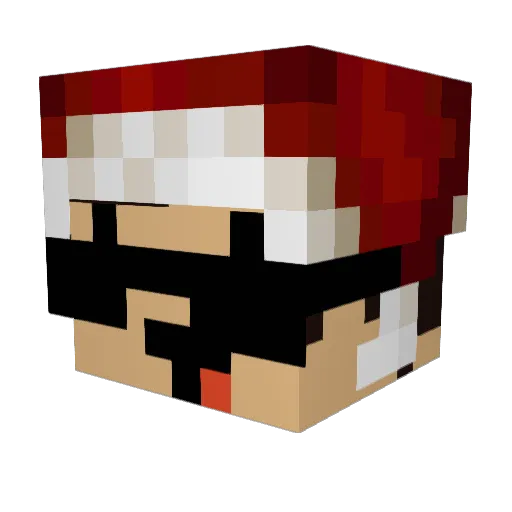 R_O_E_I Minecraft avatar head, 3D render