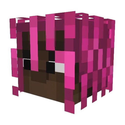 R_R_R_R_R Minecraft avatar head, 3D render