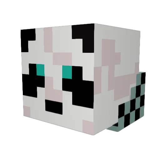 R_RooKieS Minecraft avatar head, 3D render