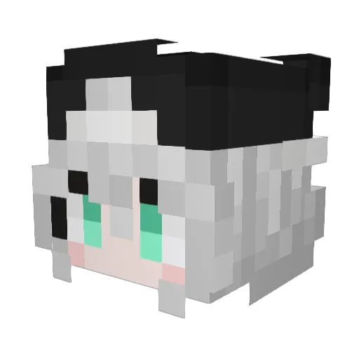 R_Ruin Minecraft avatar head, 3D render