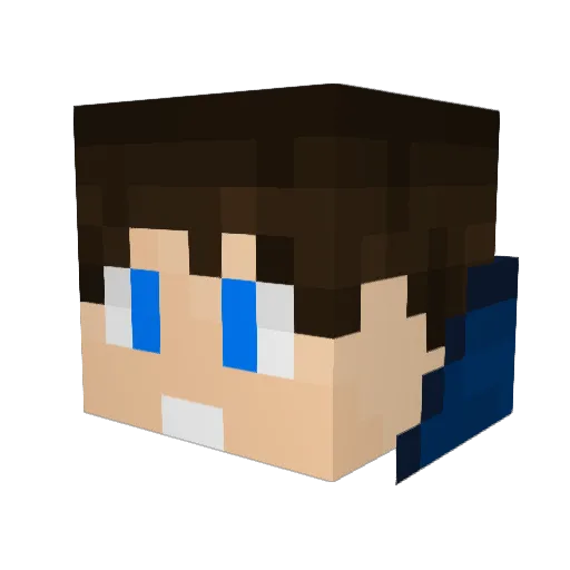 R_Y_G_A_R Minecraft avatar head, 3D render