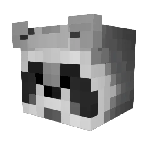 R_achy Minecraft avatar head, 3D render