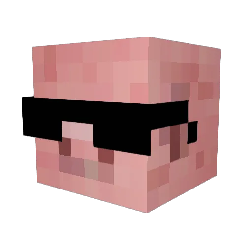 R_hogg Minecraft avatar head, 3D render