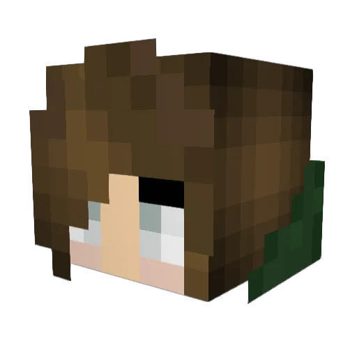 R_se17 Minecraft avatar head, 3D render