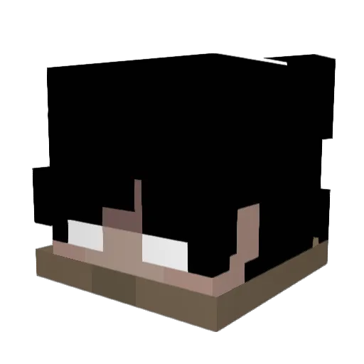 R_xr Minecraft avatar head, 3D render
