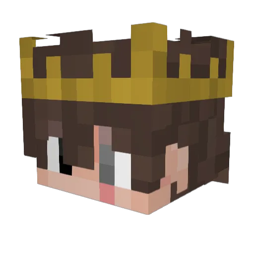 Ra1801 Minecraft avatar head, 3D render