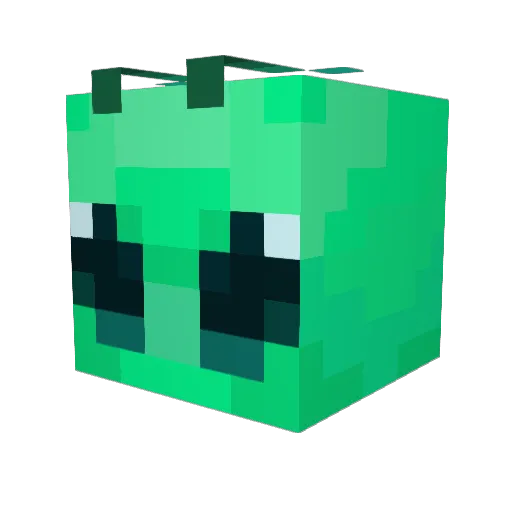 Ra1der4 Minecraft avatar head, 3D render