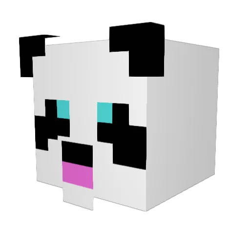 Ra1n1ngPandas Minecraft avatar head, 3D render