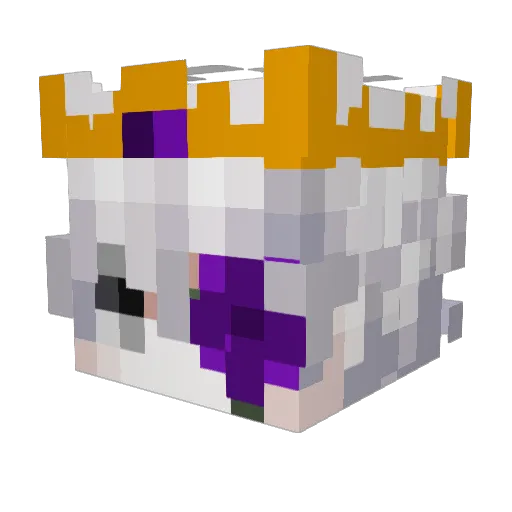 Ra1nb0_ Minecraft avatar head, 3D render