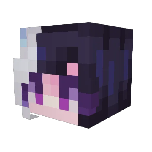 Ra1nbovv Minecraft avatar head, 3D render