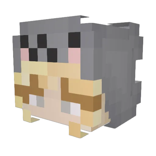 Ra1nbow24 Minecraft avatar head, 3D render