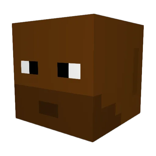 Ra1ppaaja Minecraft avatar head, 3D render