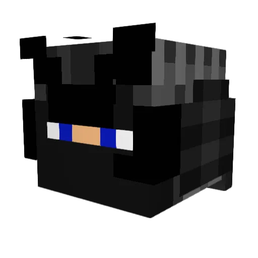 Ra3con Minecraft avatar head, 3D render
