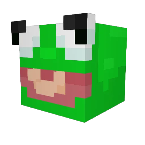 Ra5e7 Minecraft avatar head, 3D render