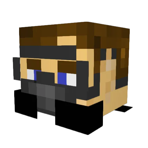 Ra5h Minecraft avatar head, 3D render