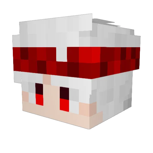 RaFleTz Minecraft avatar head, 3D render