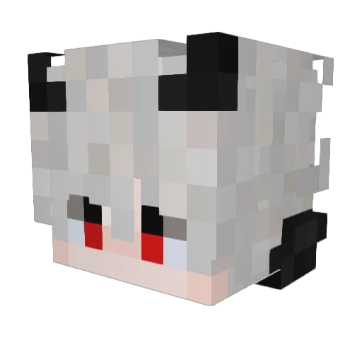 RaGnARoK065 Minecraft avatar head, 3D render